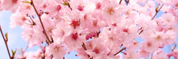 OhSoStyled - Easy Easter Ideas, Fresh Spring Meals & Home Joys