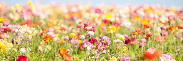 OhSoStyled - Fresh Month, Fresh Vibes (And Yep, Easter’s Still a Few Weeks Away)