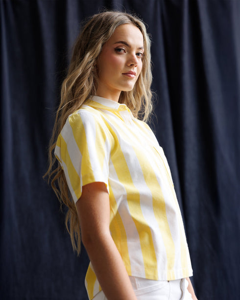 lemonade-stand-top-downeast-sophias-style-4