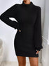 turtleneck-ribbed-knit-sweater-dress-OhSoStyled-Sophia's-Style-16