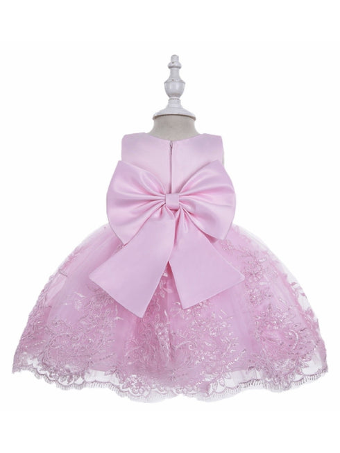 Little Girls Pink Rhinestone Embellished Sash Flower Girl Dress 2T-4T - SophiasStyle.com