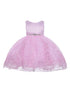 Little Girls Pink Rhinestone Embellished Sash Flower Girl Dress 2T-4T - SophiasStyle.com