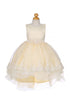 Girls High-Low Party Dress with Lace Appliqué – Easter, Flower Girl & Special Occasion Dress 3-12