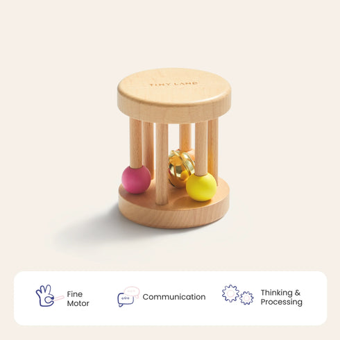 Tiny Land® Montessori Toys for Newborns (0–3 Months)