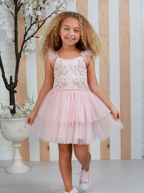 Girls Camille Pink Floral Embroidered Tutu Party Dress 12M-14
