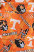 tennessee-character-denim-dress-abby-evie-sophias-style-4