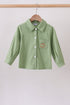 Sage Pumpkin Embroidered Button Down Shirt