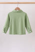 Sage Pumpkin Embroidered Button Down Shirt