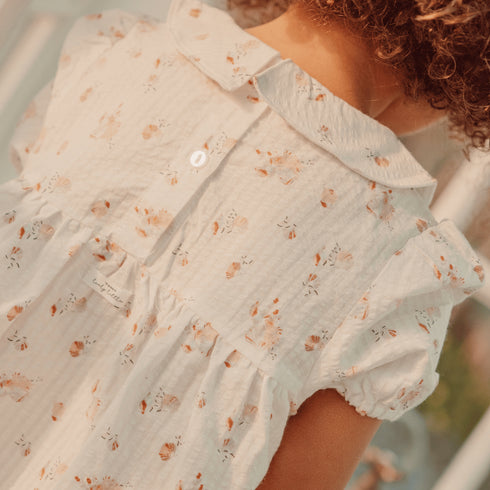 the-dressy-short-sleeve-collar-dress-seashell-sophias-style-5