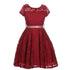 Little Girls Lace Glitter Stone Belt Special Occasion Skater Dress 2-6 - SophiasStyle.com