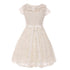 Little Girls Lace Glitter Stone Belt Special Occasion Skater Dress 2-6 - SophiasStyle.com
