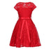 Little Girls Lace Glitter Stone Belt Special Occasion Skater Dress 2-6 - SophiasStyle.com