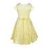 Little Girls Lace Glitter Stone Belt Special Occasion Skater Dress 2-6 - SophiasStyle.com