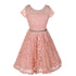 Little Girls Lace Glitter Stone Belt Special Occasion Skater Dress 2-6 - SophiasStyle.com