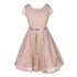 Little Girls Lace Glitter Stone Belt Special Occasion Skater Dress 2-6 - SophiasStyle.com