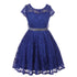 Little Girls Lace Glitter Stone Belt Special Occasion Skater Dress 2-6 - SophiasStyle.com