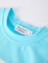 boys-baseball-embroidery-blue-t-shirt-and-red-stripe-shorts-set-sophias-style-4