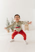 boys-raglan-sweatshirt-in-christmas-truck-on-evergreen-baby-sprouts-sophias-style-2