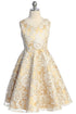 Girls Floral Brocade Party Dress 2T-14