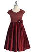 Girls Sparkle Party Dress 2T-14