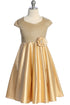 Girls Sparkle Party Dress 2T-14