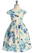 Girls Lace Trim Floral Cap Sleeve Dress 2-14