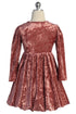 Girls Velvet Necklace Holiday Dress 4-14
