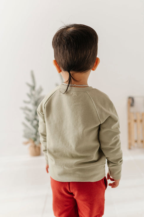 boys-raglan-sweatshirt-in-christmas-truck-on-evergreen-baby-sprouts-sophias-style-4