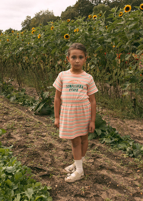 piper-dress-pink-crew-kids-sophias-style-2