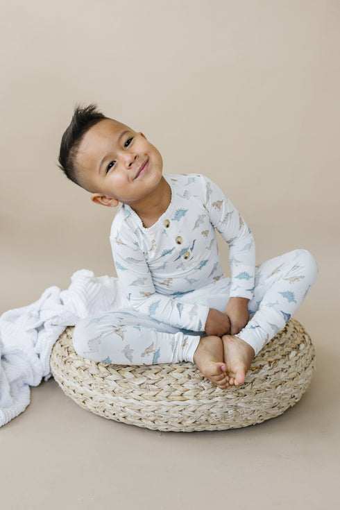 snugglesaurus-2pc-henley-bamboo-pajamas Little Joy Co - Sophia's Style-11