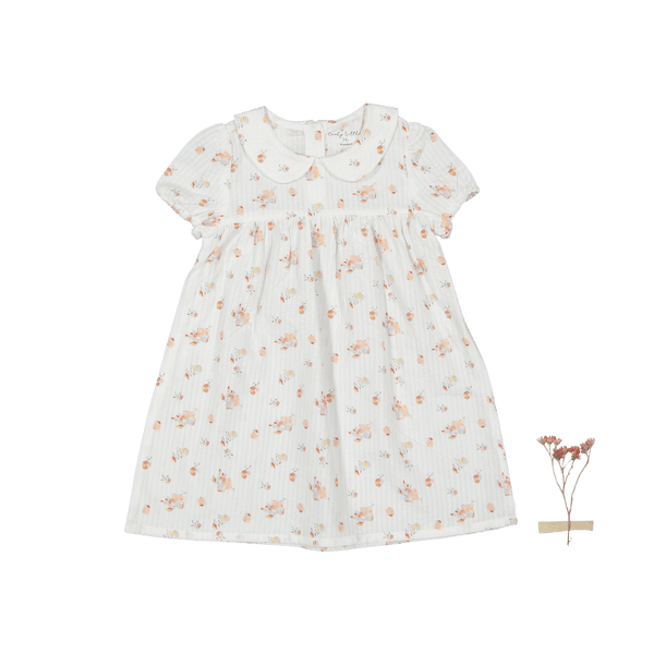 the-dressy-short-sleeve-collar-dress-seashell-sophias-styleDresses-1