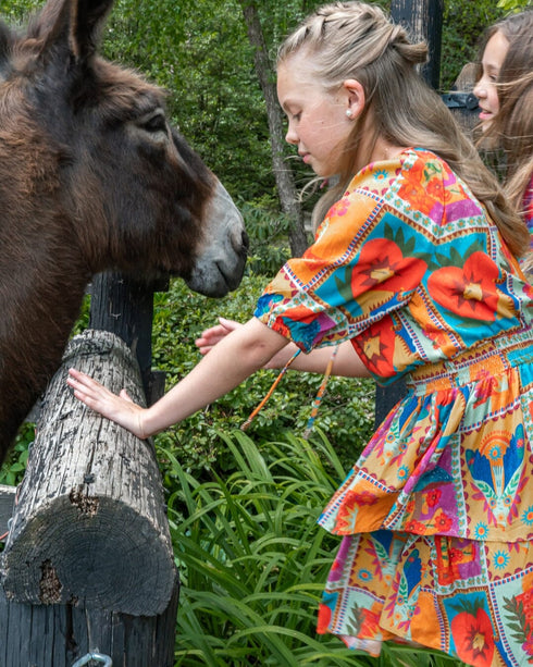 georgia-dress Briton Court - Sophia's Style-3