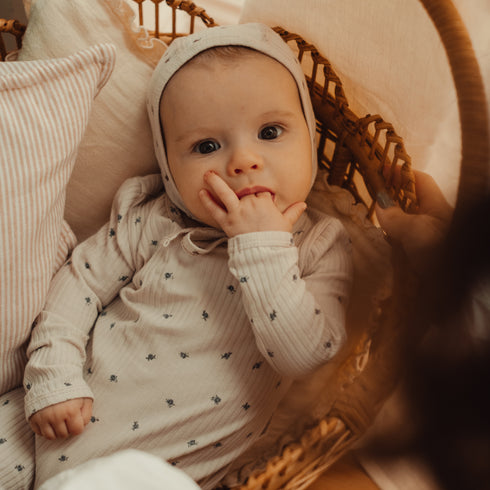 the-printed-baby-gown-rosa-blue Lovely Littles - Sophia's Style-3