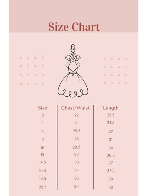 Big Girls Multi Color Butterfly Burnout Organza Plus Size Dress 14.5-20.5 - SophiasStyle.com