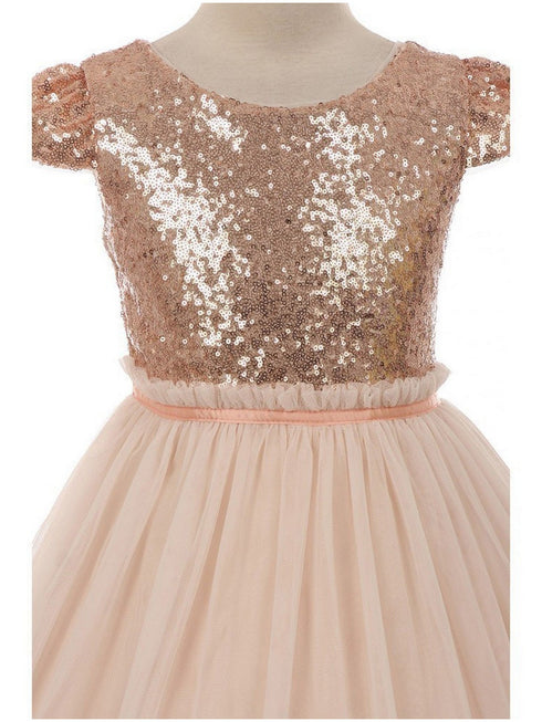 Girls Blush Sequins Tulle Plus Size Junior Bridesmaid Dress, Size 16.5