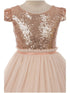 Girls Blush Sequins Tulle Plus Size Junior Bridesmaid Dress, Size 16.5