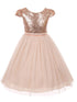 Girls Blush Sequins Tulle Plus Size Junior Bridesmaid Dress, Size 16.5