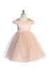Big Girls Cap Sleeve Satin Tulle Plus Size Dress 16.5-20.5