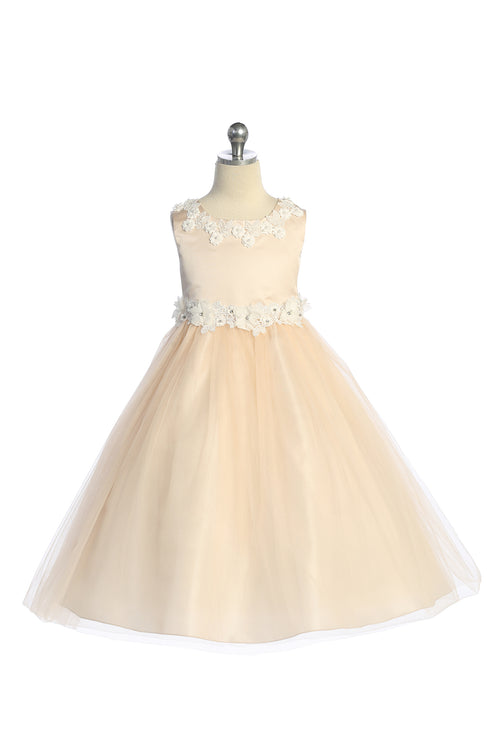 Big Girls Blush Floral Applique Plus Size Princess Ballgown, Sizes 16.5-20.5