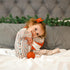 candy-cane-lane-zippy-romper at Sophia's Style-4