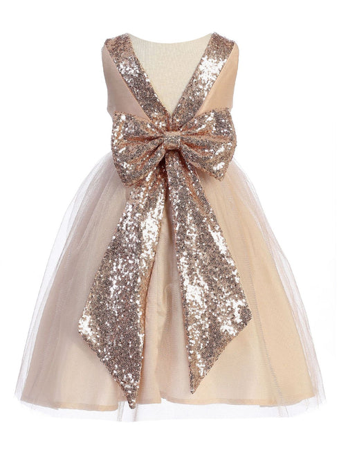 Big Girls Sequin Glitter Tulle Flower Girl Dress, Sizes 16.5-20.5