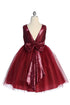 Big Girls Sequin Glitter Tulle Flower Girl Dress, Sizes 16.5-20.5