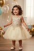 Baby Girls Gold Coiled Lace Illusion Flower Girl Dress 6-24 Months