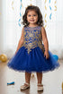 Baby Girls Gold Coiled Lace Illusion Flower Girl Dress 6-24 Months
