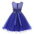 Girls Sparkling Rhinestone Illusion Tulle Party Dress 4-16