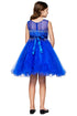 Girls Sparkling Rhinestone Illusion Tulle Party Dress 4-16