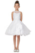 Girls Illusion Halter Neck Sweetheart Beaded Bodice Tulle Flower Girl Junior Bridesmaid Dress, Sizes 4-16 - SophiasStyle.com