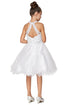 Girls Illusion Halter Neck Sweetheart Beaded Bodice Tulle Flower Girl Junior Bridesmaid Dress, Sizes 4-16 - SophiasStyle.com