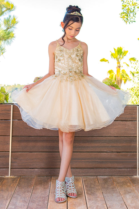 Girls Multi Color Illusion Sparkly Tulle Special Occasion Dress 4-16 - SophiasStyle.com