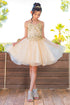 Girls Multi Color Illusion Sparkly Tulle Special Occasion Dress 4-16 - SophiasStyle.com